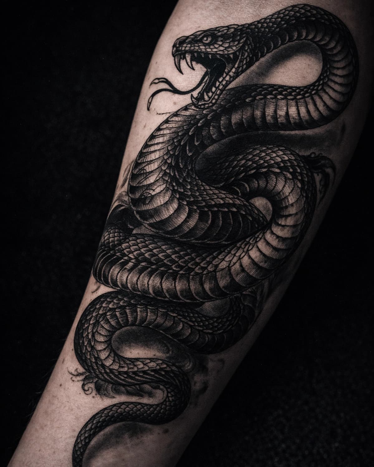 Illustrative serpent coil with blackwork shading