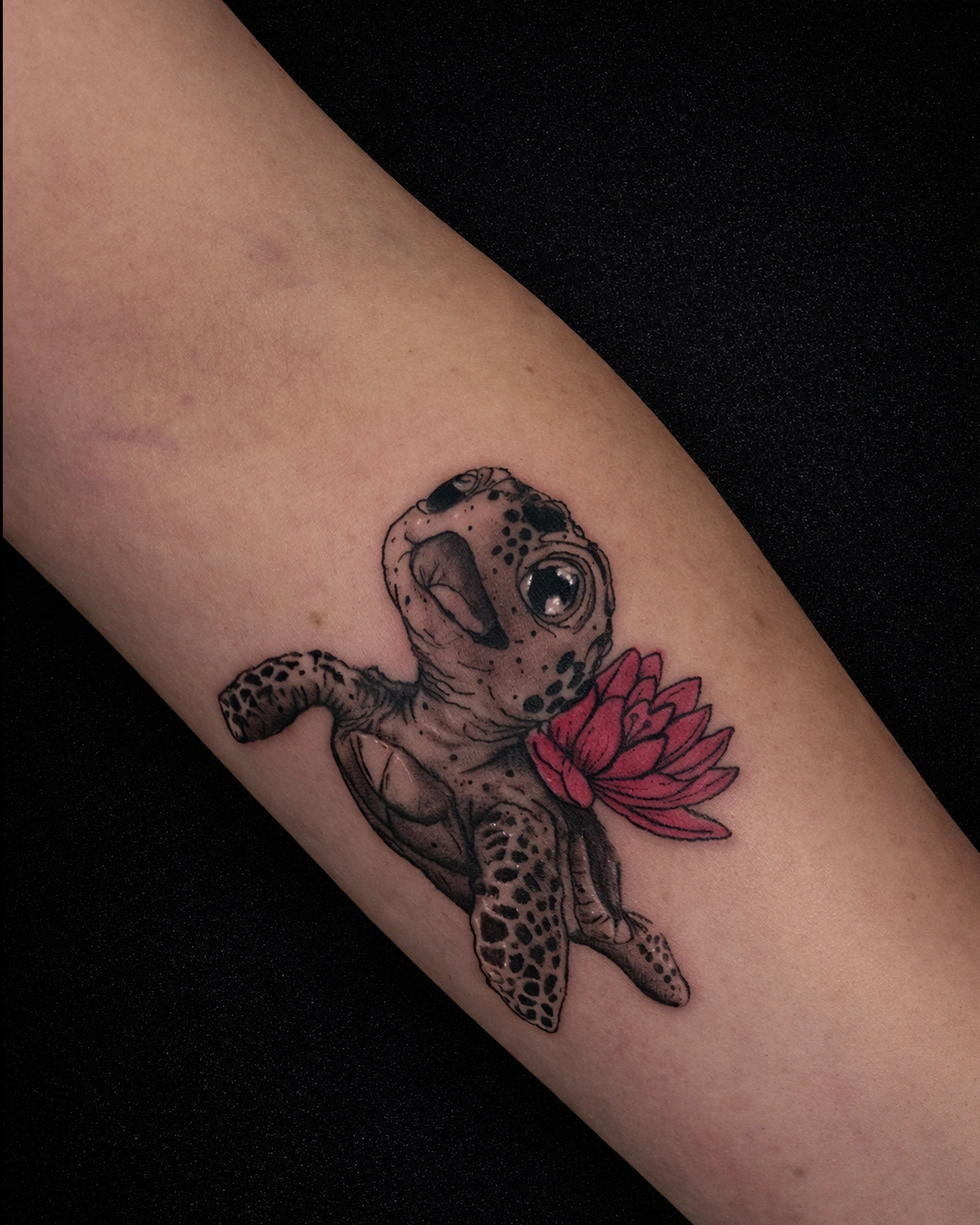Cute baby turtle and flower tattoo with soft shading on forearm